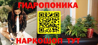 apvp Абакан