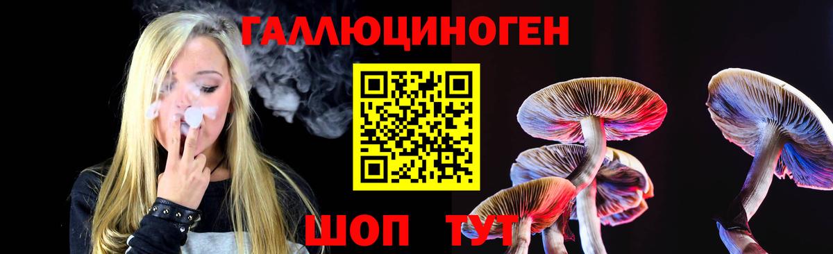 Псилоцибиновые грибы мицелий Анжеро-Судженск