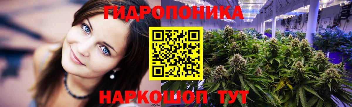 Анжеро-Судженск  Конопля Amnesia  Бошки марихуана индика  Вход с VPN  МАРИХУАНА сатива 